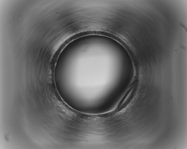 X0000100340926200806051535