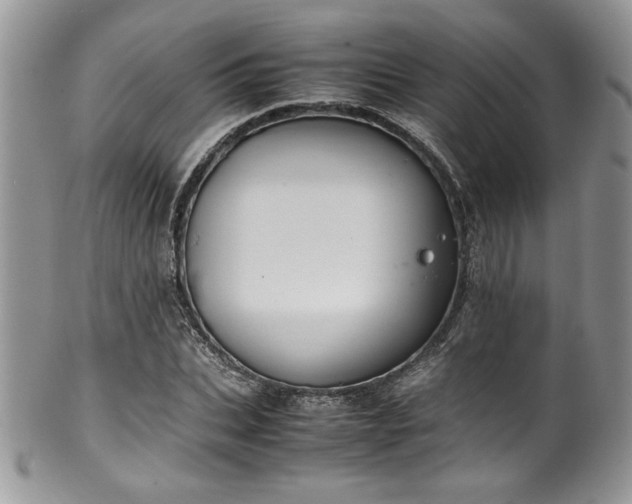 X0000100340927200806051535