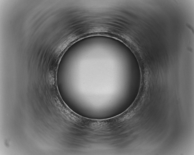 X0000100340929200806051535