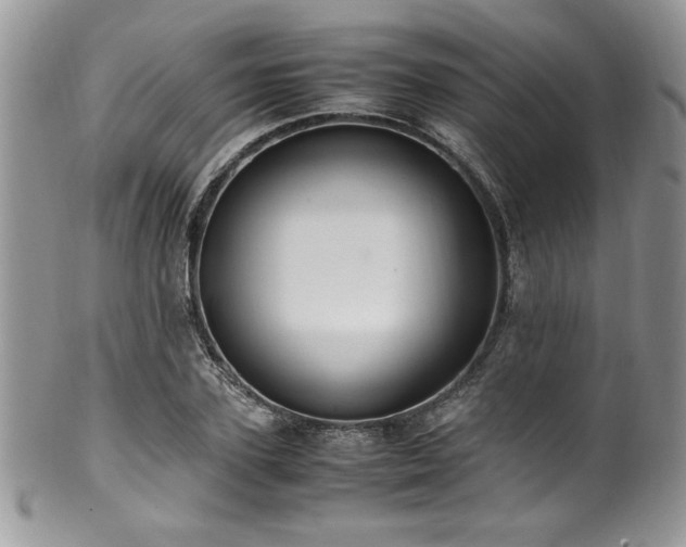 X0000100340931200806051535