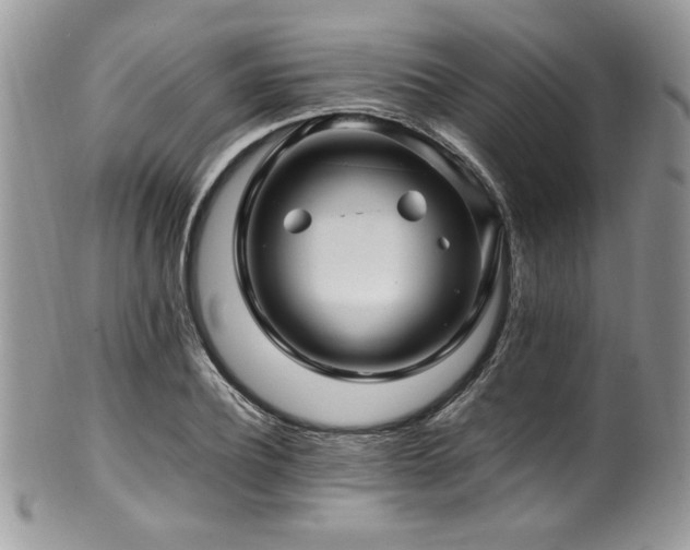 X0000100340932200806051535