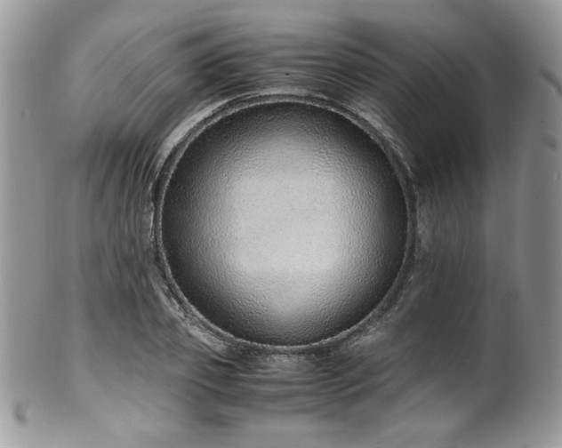 X0000100340933200806051535