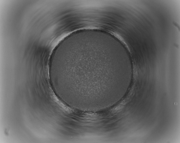 X0000100340935200806051535
