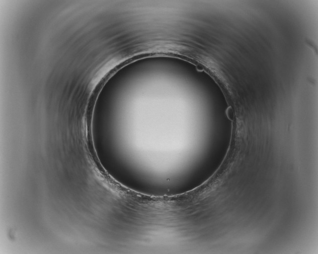 X0000100340936200806051535