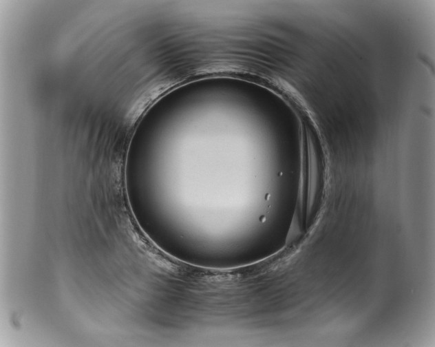 X0000100340937200806051535