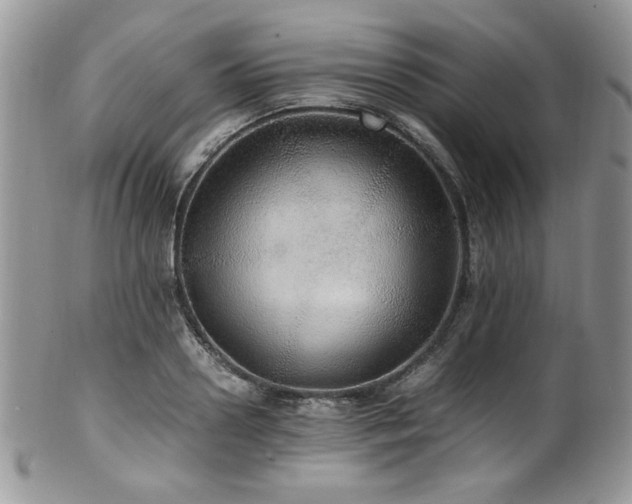 X0000100340938200806051535