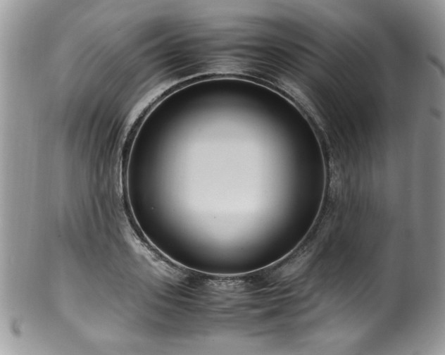 X0000100340939200806051535