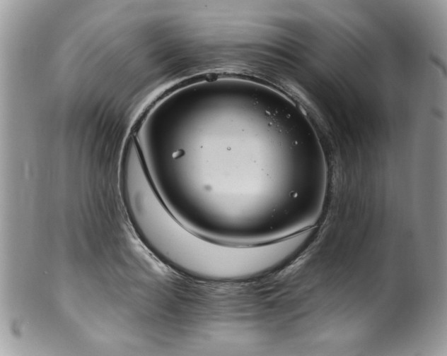 X0000100340940200806051535