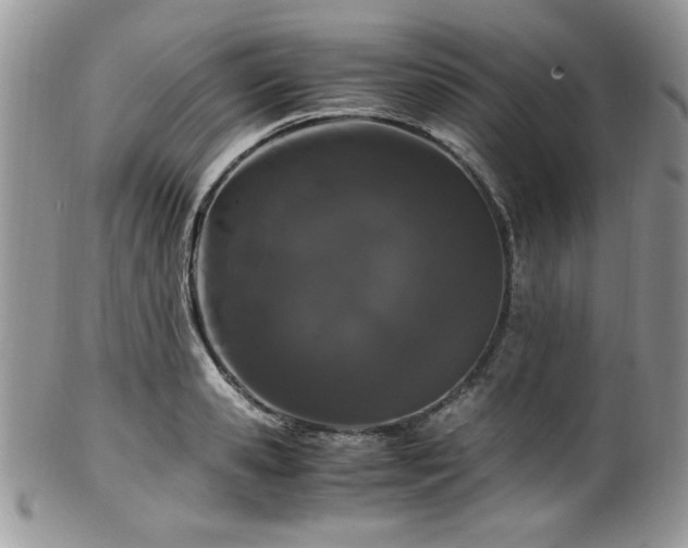X0000100340941200806051535