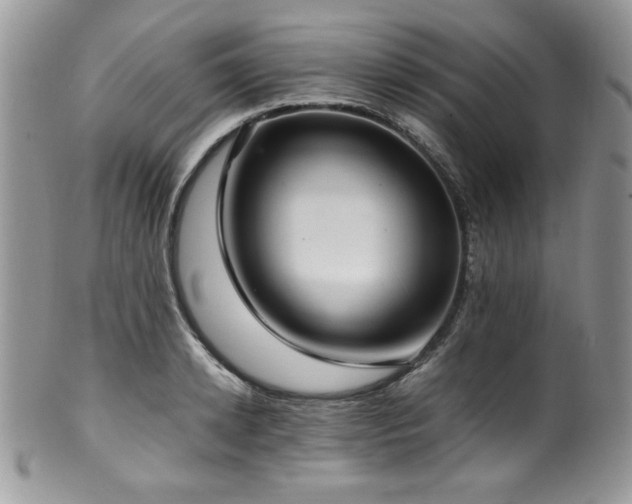 X0000100340942200806051535