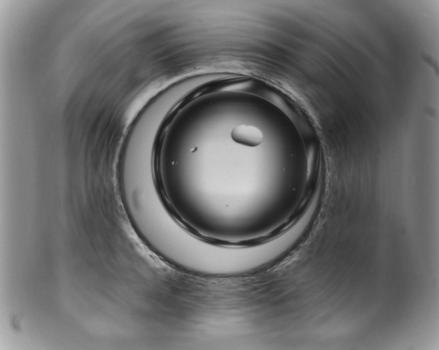 X0000100340944200806051535