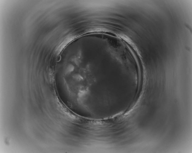 X0000100340945200806051535