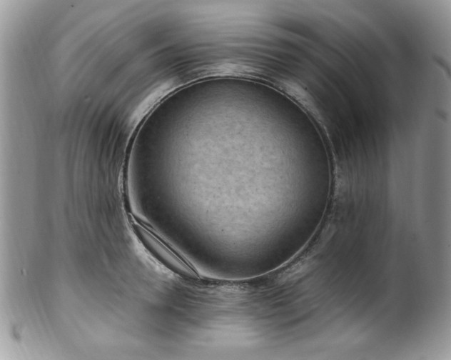 X0000100340946200806051535