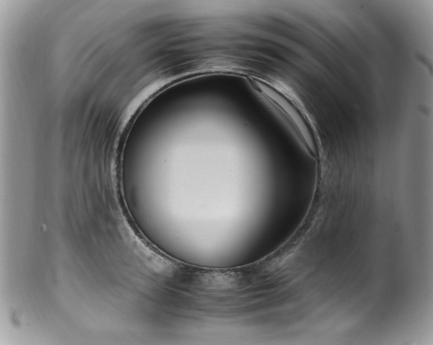 X0000100340947200806051535