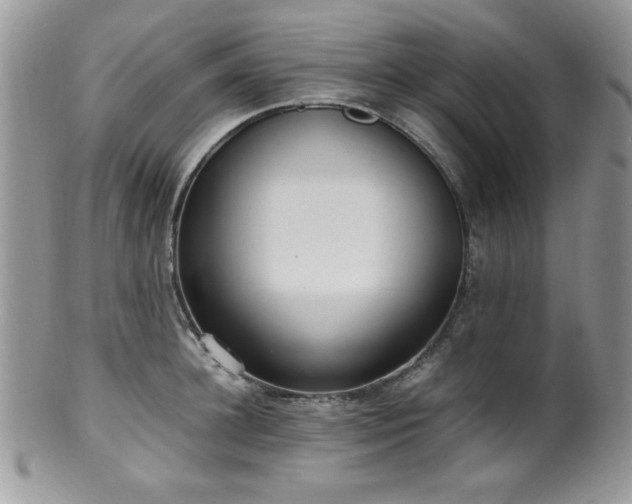 X0000100340948200806051535