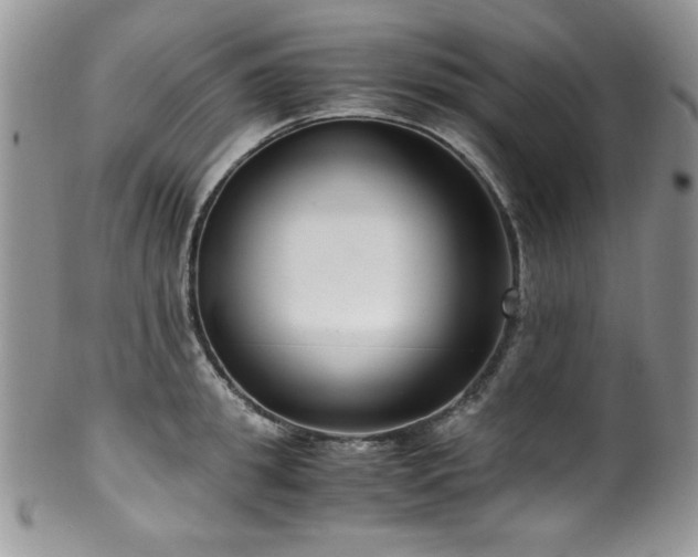 X0000100340949200806051535