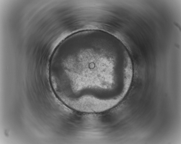 X0000100340950200806051535