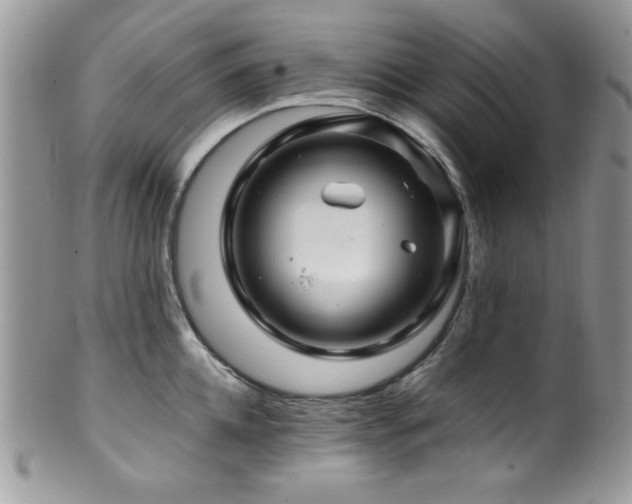 X0000100340952200806051535