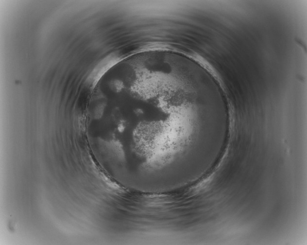 X0000100340953200806051535