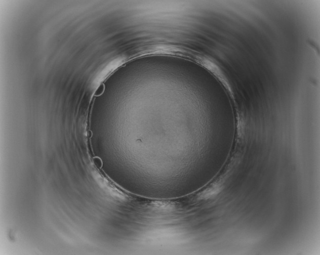 X0000100340954200806051535