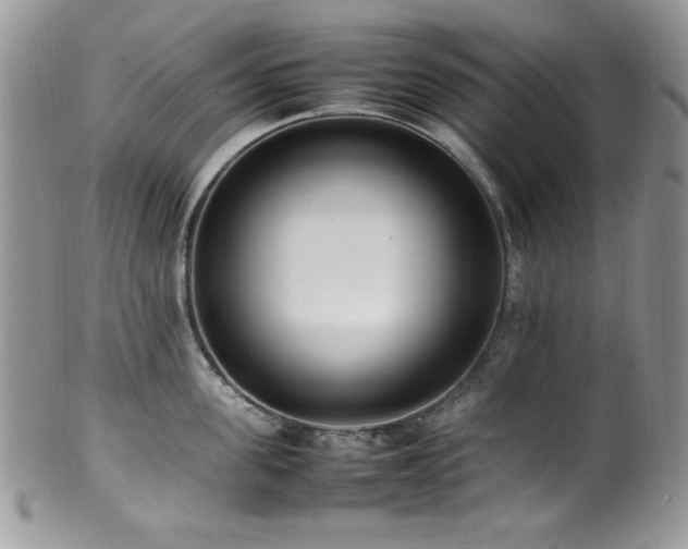 X0000100340955200806051535