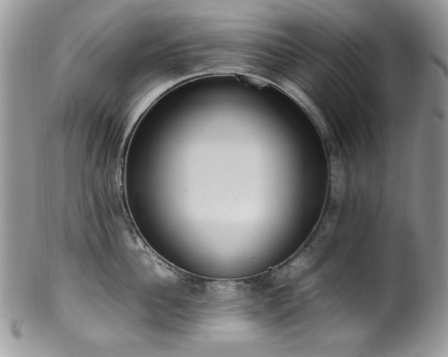 X0000100340956200806051535