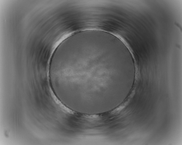 X0000100340957200806051535