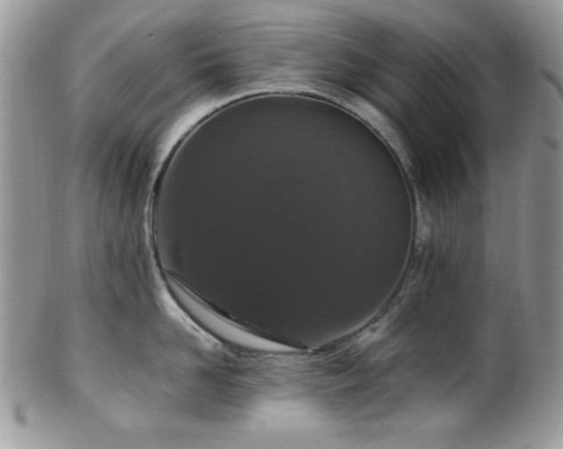 X0000100340958200806051535