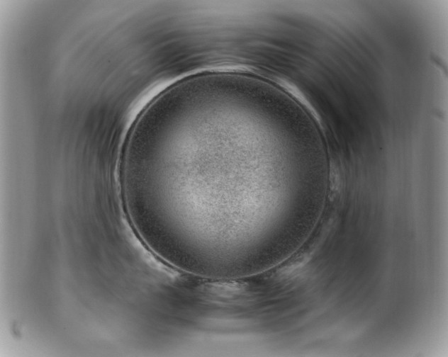 X0000100340959200806051535