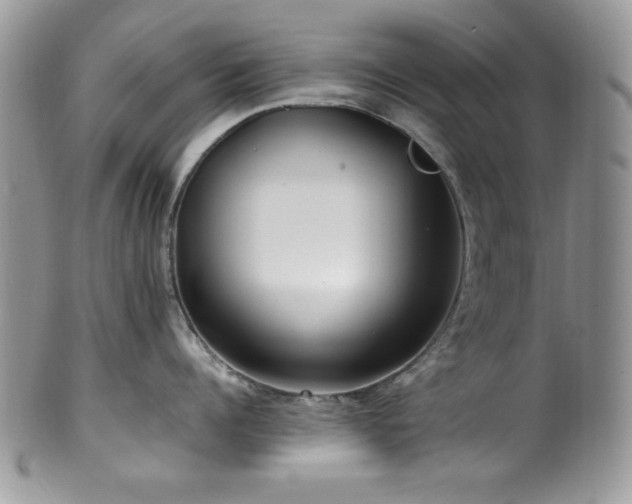 X0000100340960200806051535