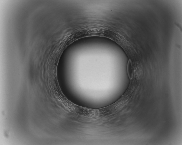 X0000100340961200806051534