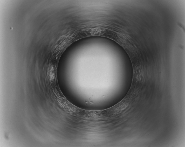 X0000100340962200806051534