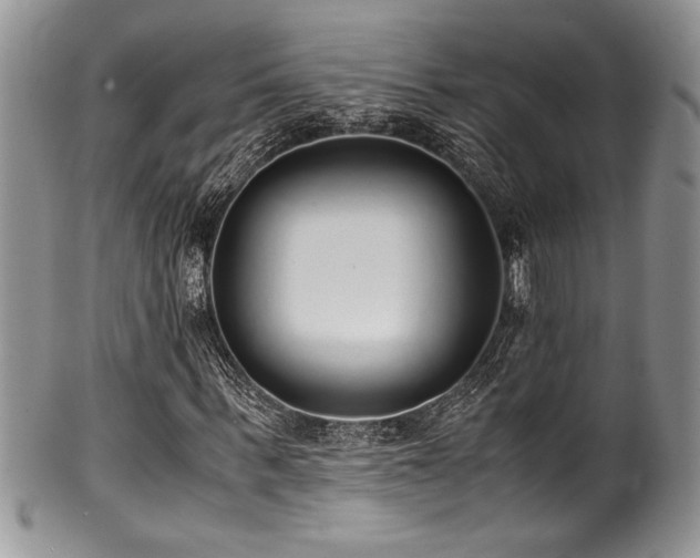 X0000100340963200806051534