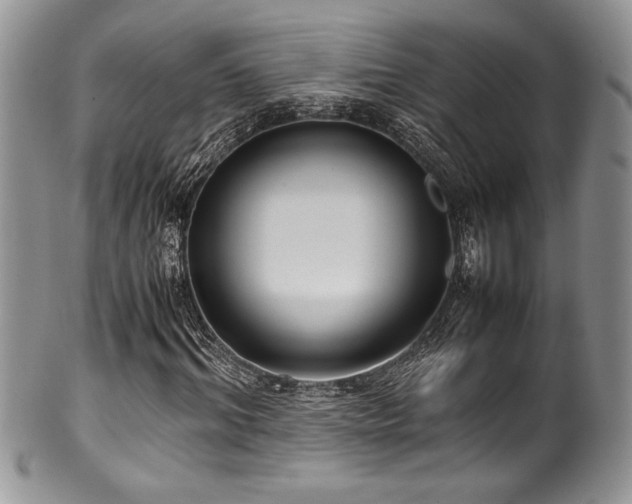 X0000100340964200806051534