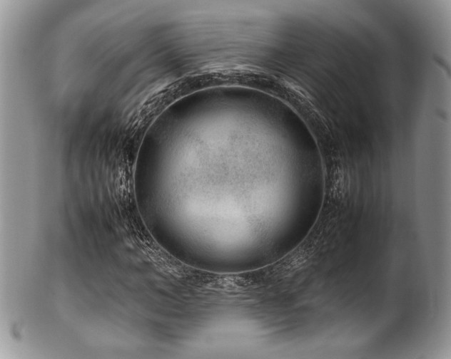 X0000100340966200806051534