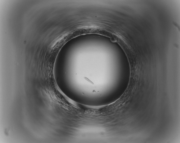 X0000100340967200806051534