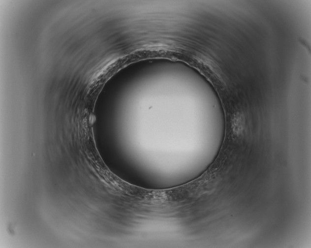X0000100340968200806051534