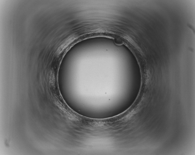 X0000100340969200806051534