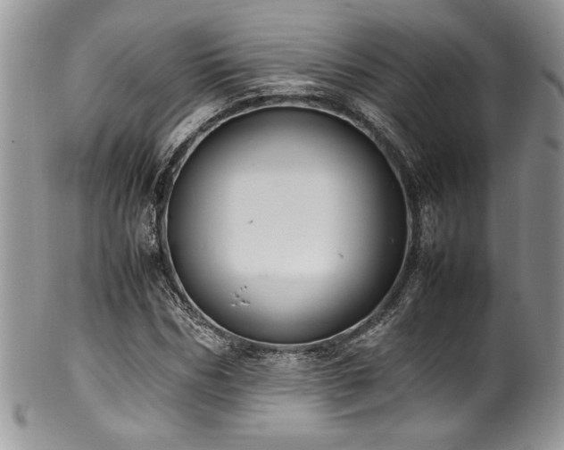 X0000100340970200806051534