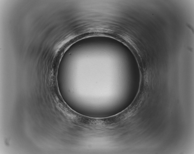 X0000100340971200806051534