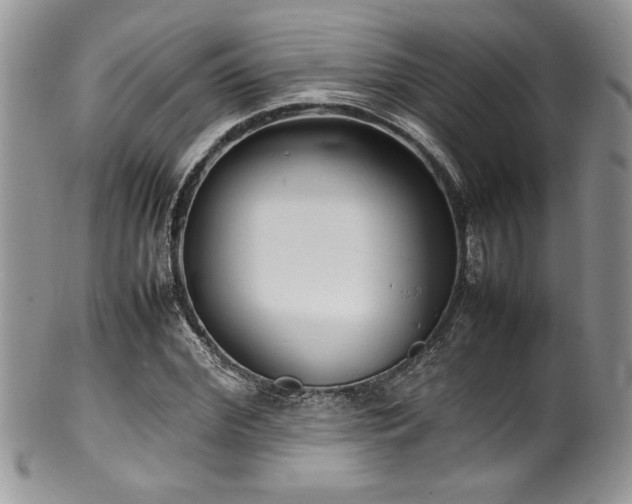 X0000100340972200806051534