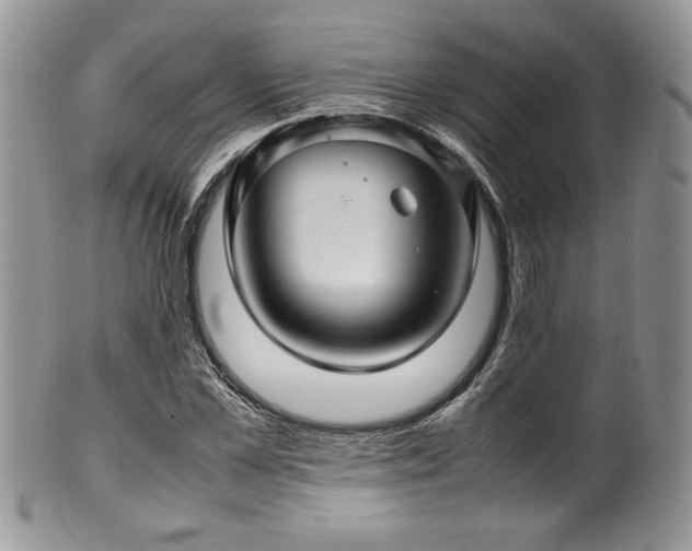 X0000100340973200806051534