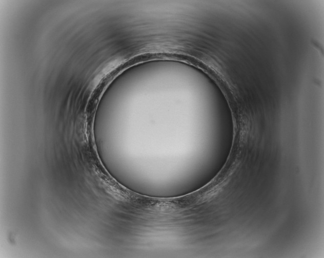 X0000100340974200806051534