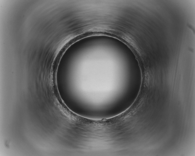 X0000100340976200806051534