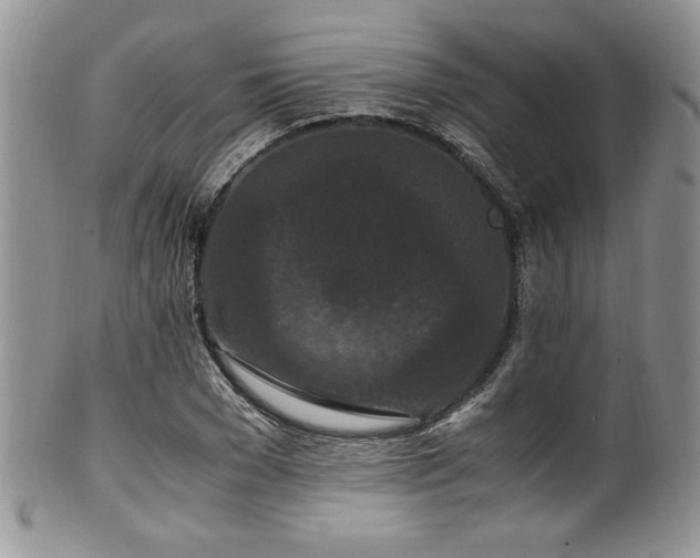 X0000100340977200806051534