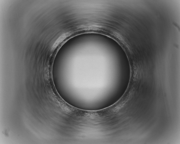 X0000100340978200806051534