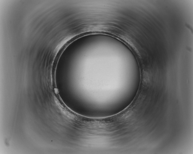 X0000100340980200806051534