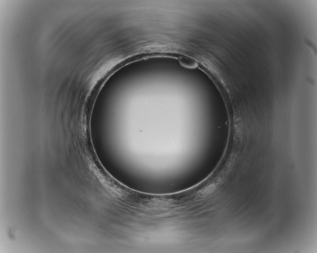 X0000100340981200806051534