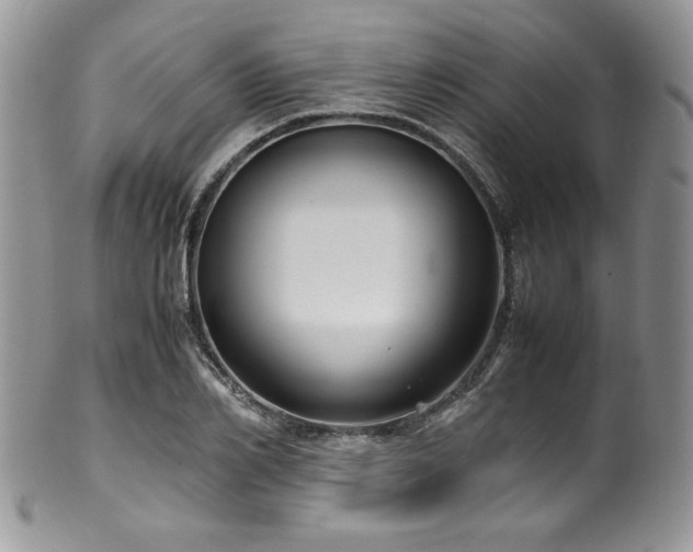 X0000100340982200806051534