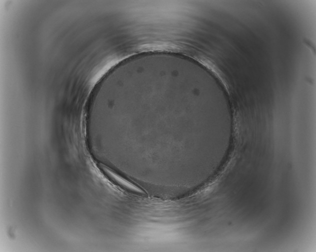 X0000100340983200806051534